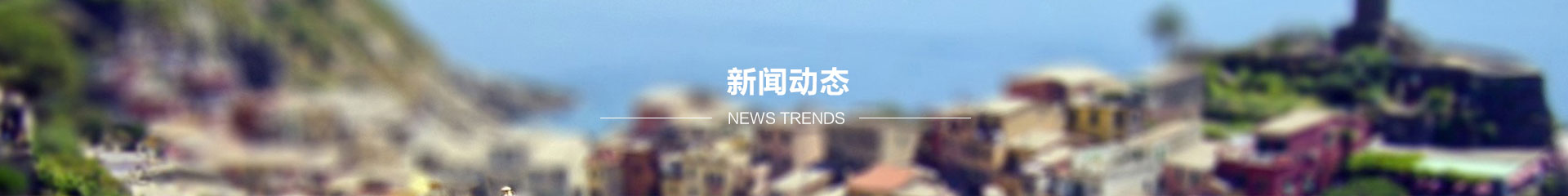 新闻动态